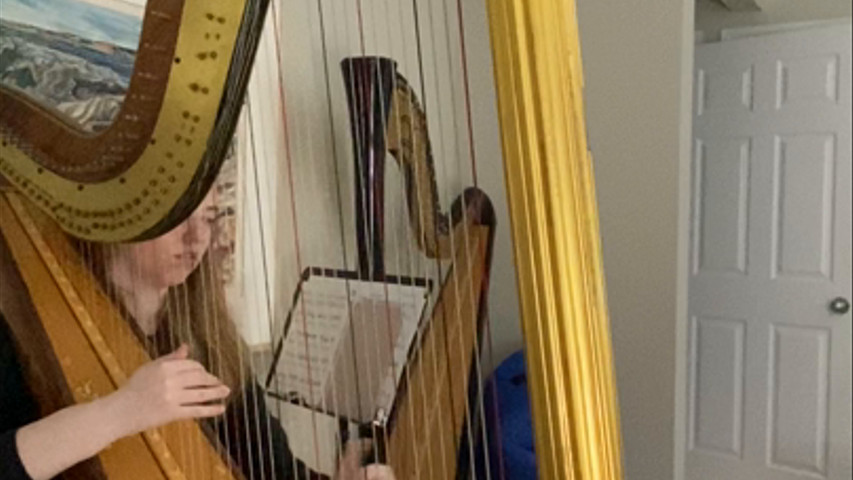 About Hannah Warren  Ottawa-Based Wedding and Event Harpist