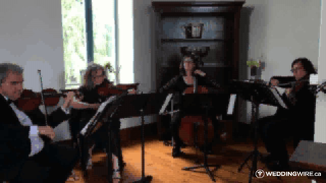 Video 1