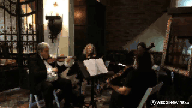 Video 2