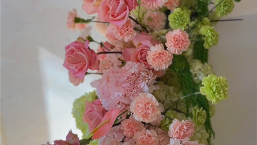 Juicy colours for unforgettable moments  