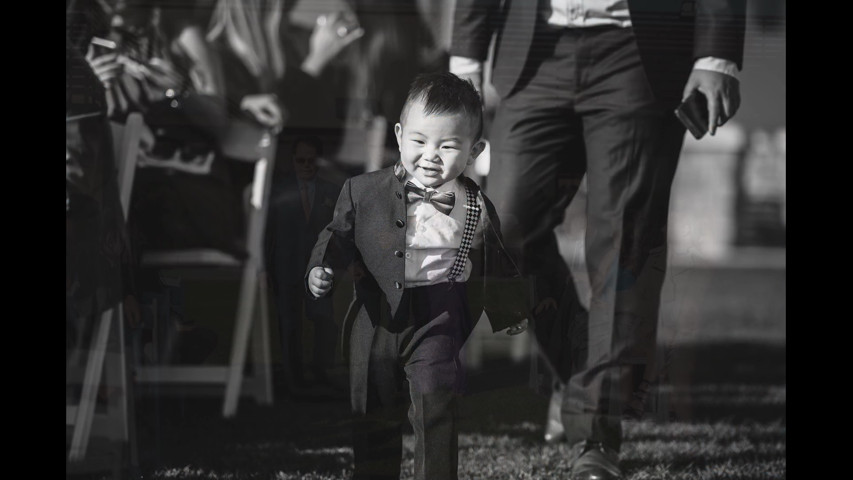 Winery wedding in Ontario