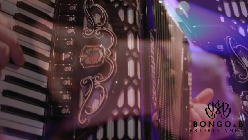 Italian accordion/Organetto player