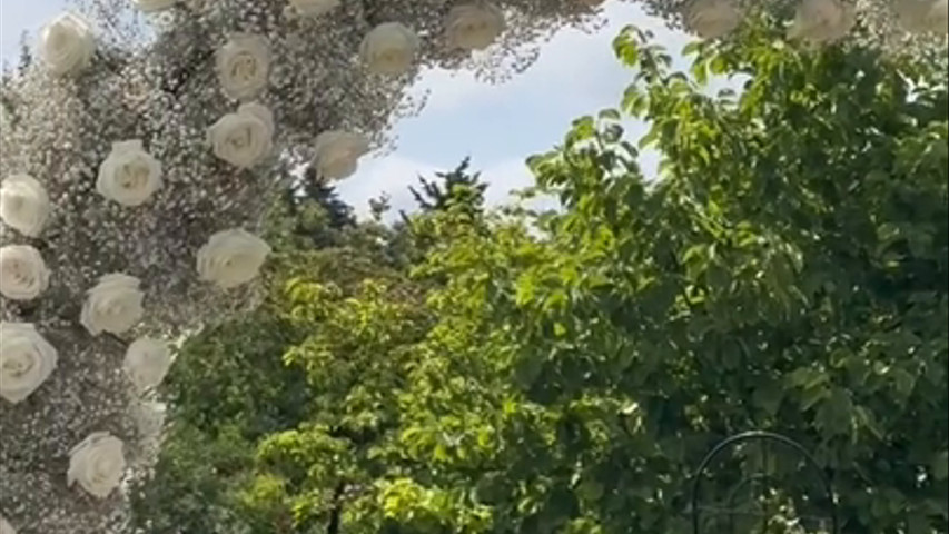 Babybreath wedding arch 