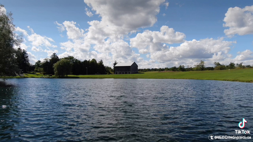 the hummingbird water