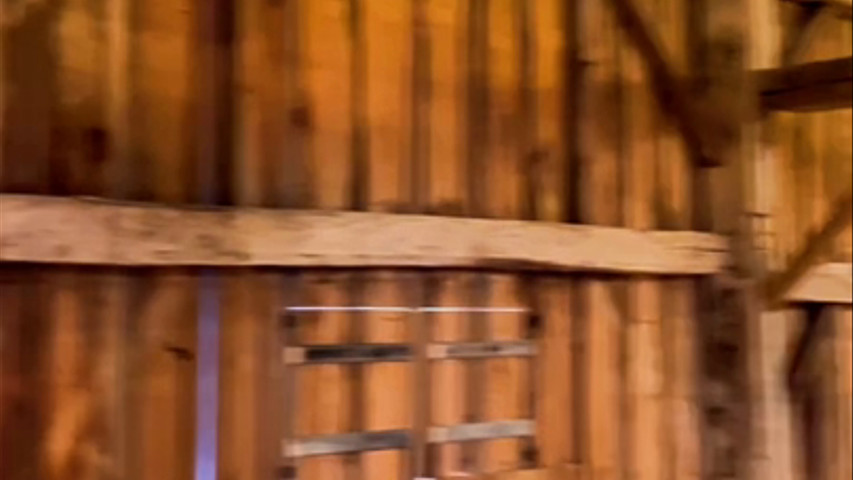 welcome to the hummingbird