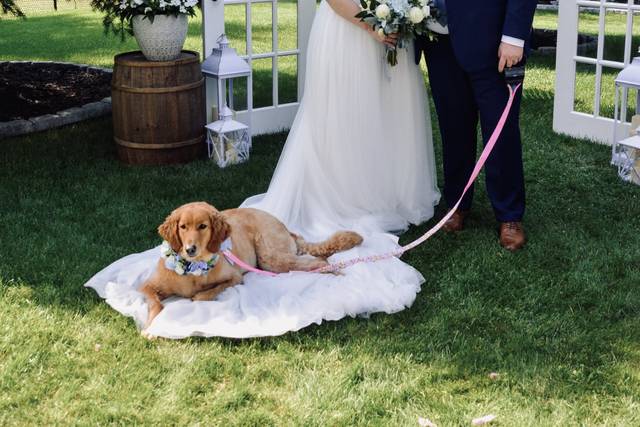 The wedding of Danielle and Matt 2