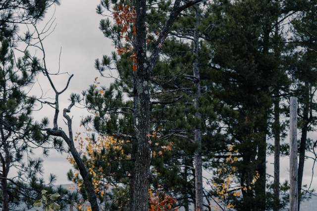 Shanna & Nick's wedding 1