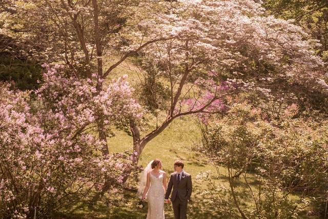 Kara & Adam's wedding 1