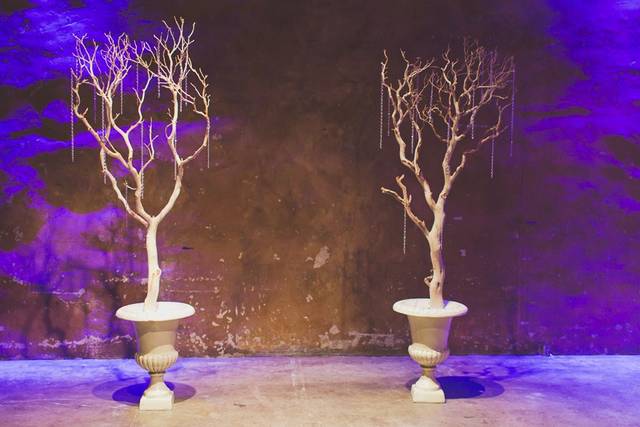 The wedding of Caroline and Braden 2