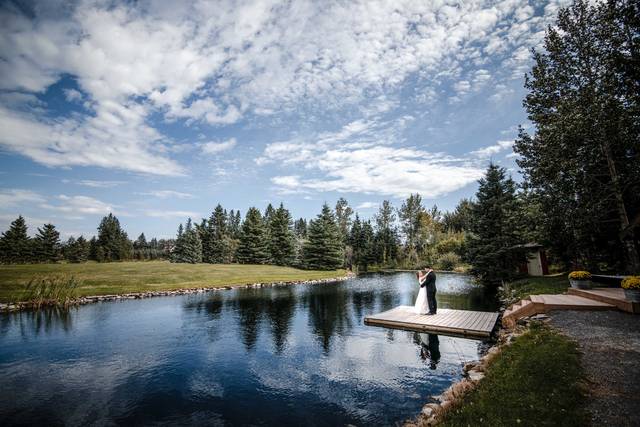 The wedding of Shayla and Jeremy 1
