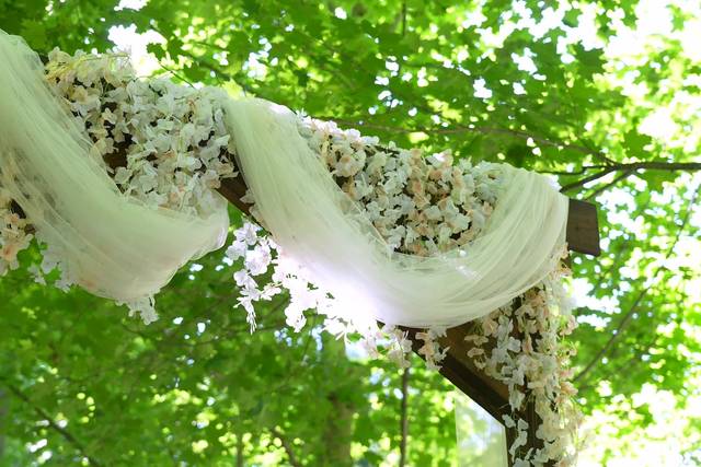 Samantha & Cameron's wedding 2