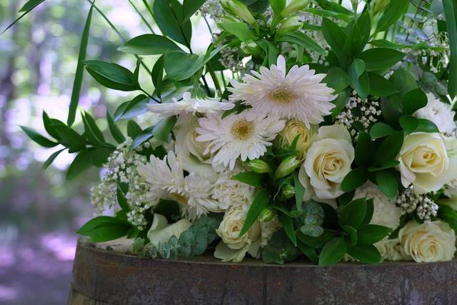 Samantha & Cameron's wedding 3