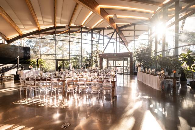 Ashley & Lauren's wedding 1