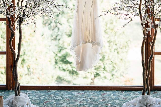 Alice & Frank's wedding 1