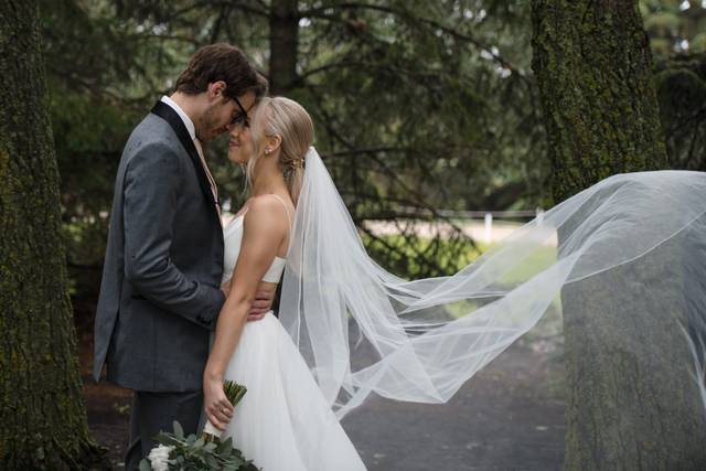 The wedding of Macailee and Anthony 1