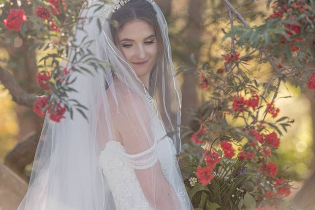 The wedding of Amanda and Zack 1