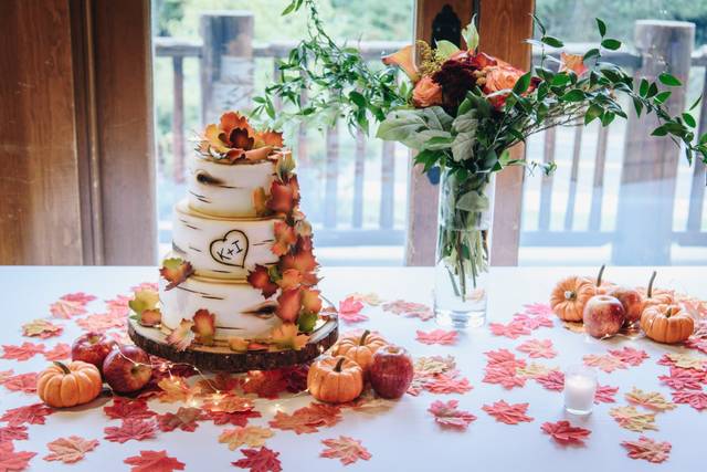 The wedding of Kira and Ian 2