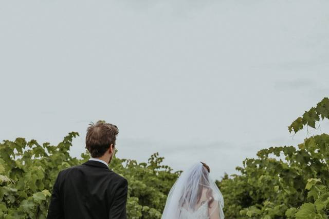 The wedding of Lindsay and Robbie 1