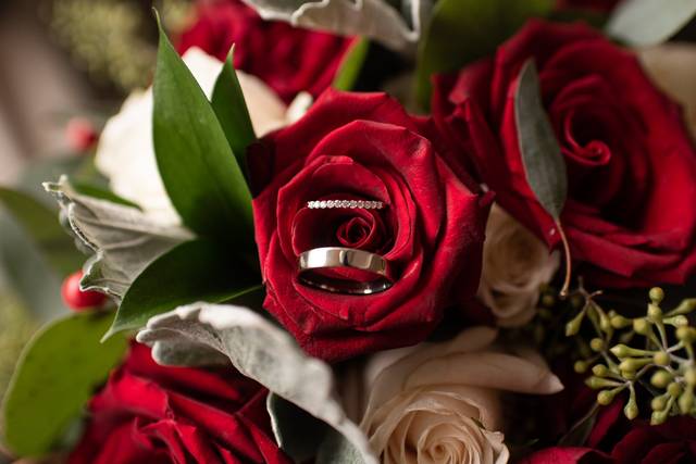 The wedding of Shannon and Daniel 3