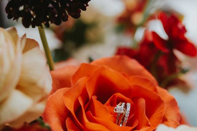 The wedding of Victoria and Hugh 1
