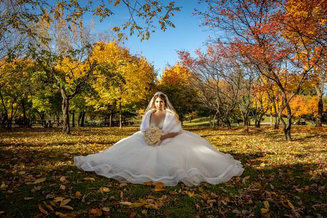Melinda & Anthony's wedding 1