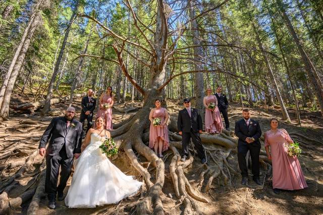 The wedding of Kiera and Gino 2