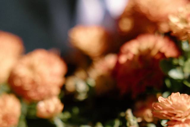 Alex & Sasha's wedding 3