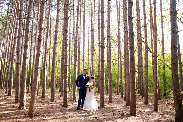 The wedding of Christina and Chris 1