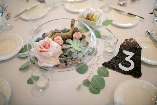 The wedding of Leanne and David 1