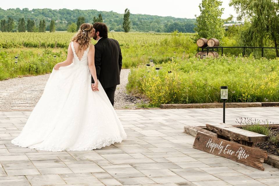 Queenston Mile Vineyard