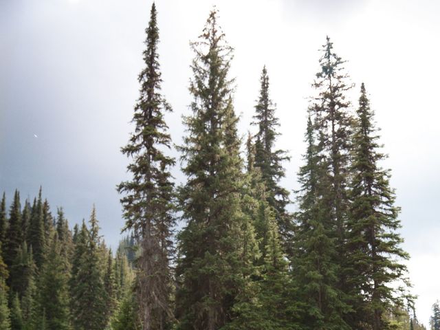 Andrew and Colleen's wedding in Sun Peaks, British Columbia 13