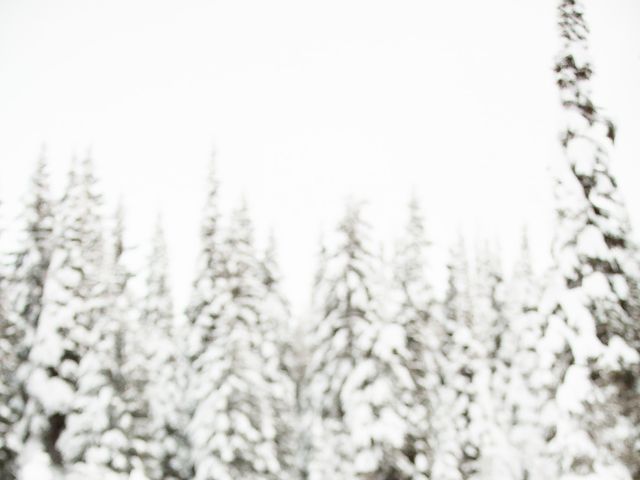 Mark and Jenn's wedding in Sun Peaks, British Columbia 31