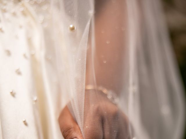 Lincy and Thomas's wedding in Toronto, Ontario 5