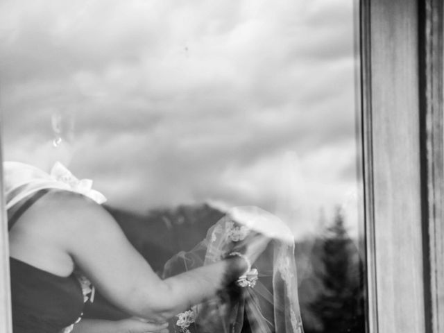 Amir and Tracy&apos;s wedding in Golden, British Columbia 7