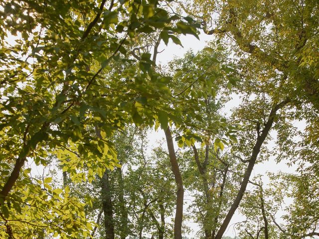 Danielle and George's wedding in Niverville, Manitoba 113