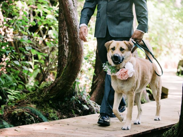 Dale and Kelsey&apos;s wedding in Tofino, British Columbia 13