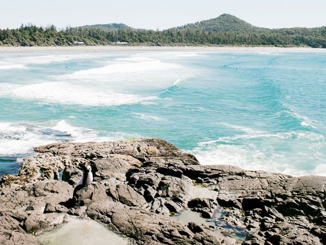 Dale and Kelsey&apos;s wedding in Tofino, British Columbia 21