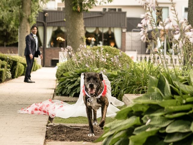 Sacha and Naomi&apos;s wedding in Hamilton, Ontario 3