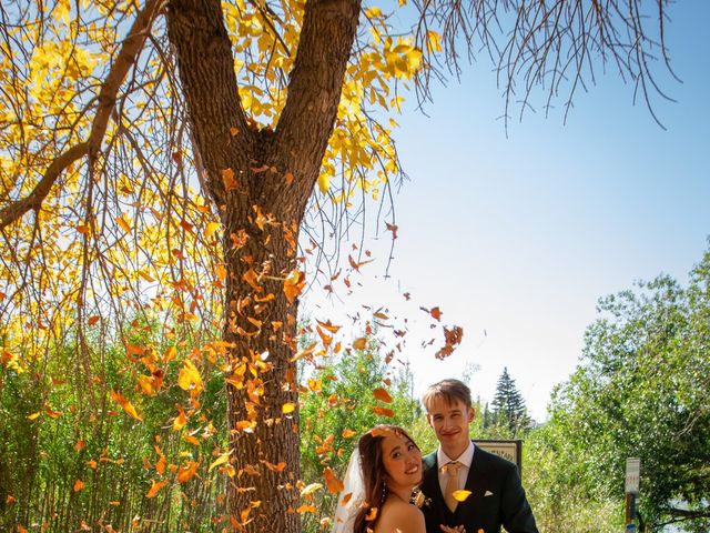 Kurt and Lou&apos;s wedding in Strathmore, Alberta 264