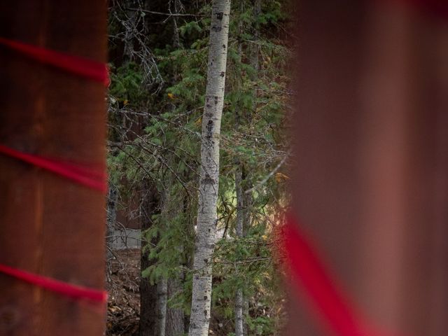 Corey and Alyson&apos;s wedding in Bragg Creek, Alberta 161