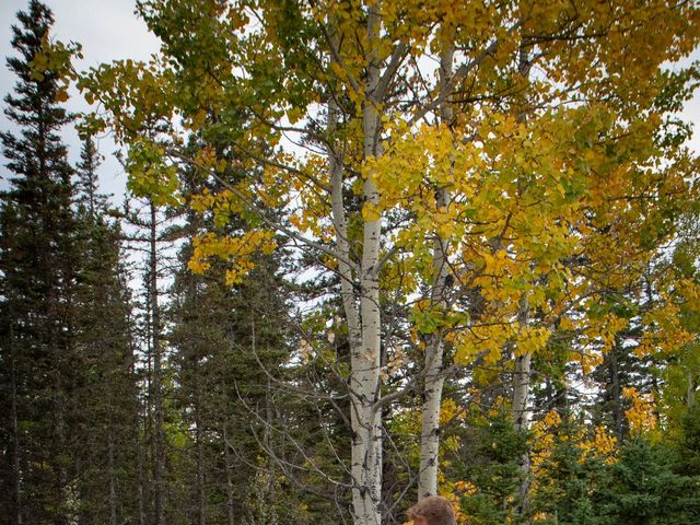 Corey and Alyson&apos;s wedding in Bragg Creek, Alberta 273