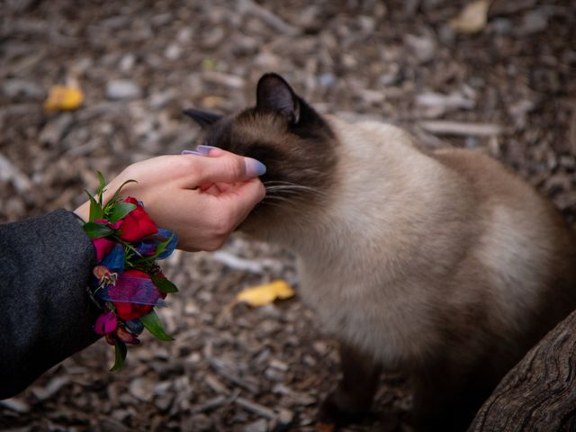 Corey and Alyson&apos;s wedding in Bragg Creek, Alberta 307