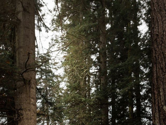Matt and Nicole's wedding in Duncan, British Columbia 7