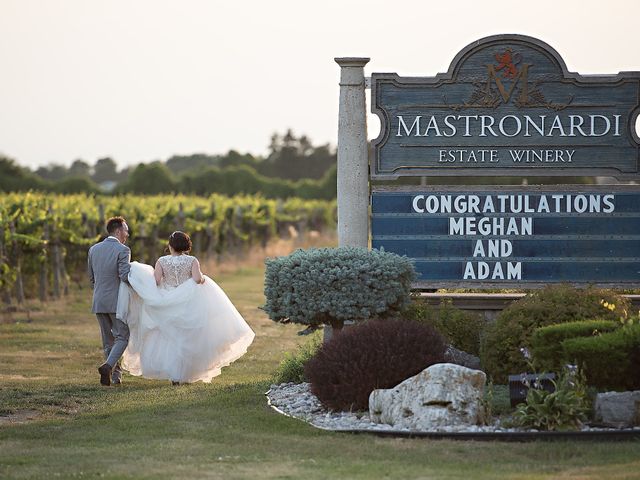 Adam and Meghan&apos;s wedding in Kingsville, Ontario 61