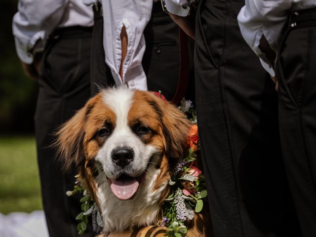 Amanda and Dylan&apos;s wedding in Canmore, Alberta 24