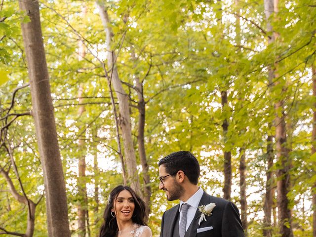 DOMENICO and NATALI&apos;s wedding in Woodbridge, Ontario 85