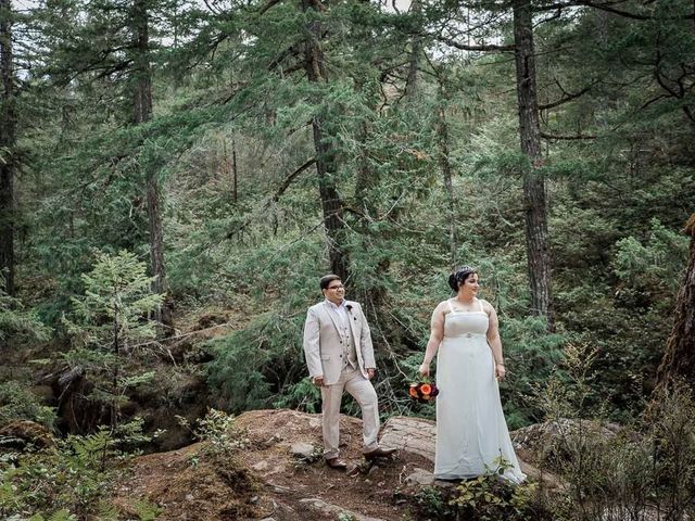 Raj and Mahla&apos;s wedding in Sooke, British Columbia 34