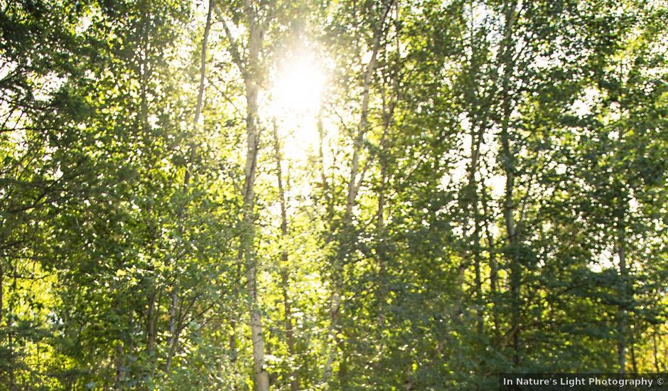 Daniel and Carley's wedding in Tofield, Alberta