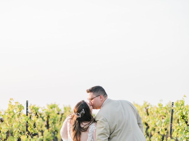 Jules and Dan&apos;s wedding in Beamsville, Ontario 14