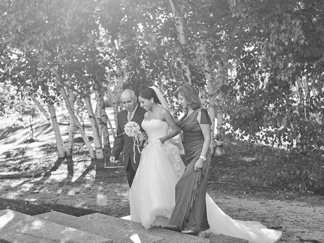 Mike and Diana&apos;s wedding in Kleinburg, Ontario 23